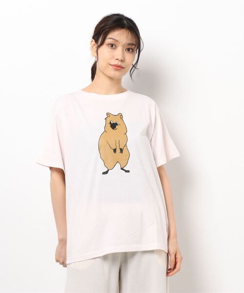 チチカカ（チチカカ）の「クウォッカTシャツ（Tシャツ/カットソー・レディース・チャコールグレー/ピンク・FREE）」の13枚目の写真