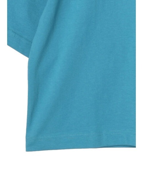 Green　Parks（グリーンパークス）の「プチハイネックボックスTシャツ（Tシャツ/カットソー・レディース・ブルー/グリーン/ブラック/ホワイト系その他2・FREE）」の6枚目の写真