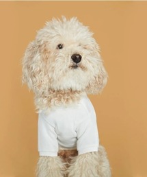 THE PAINTER'S WIFE（ザペインターズワイフ）の「EVA DOG T-SHIRT（ペットウェア・レディース）」