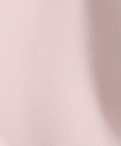 THE SHOP TK （ザ ショップ ティーケー ）の「◆シアー配色プルオーバー【手洗い可】（Tシャツ/カットソー・レディース・ベビーピンク/アイボリー/グリーン/ブラック・12/13）」の5枚目の写真