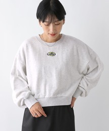 ピーチ起毛刺繍プルオーバー　249404