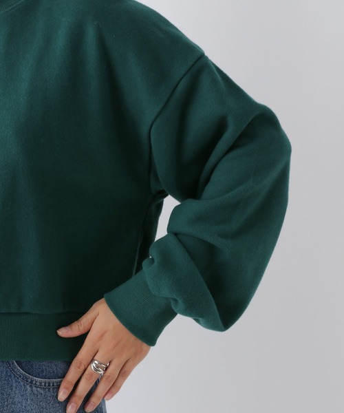 LEPSIM（レプシィム）の「ピーチ起毛刺繍プルオーバー　249404（スウェット・レディース・グリーン/杢グレー/ネイビー・FREE）」の5枚目の写真