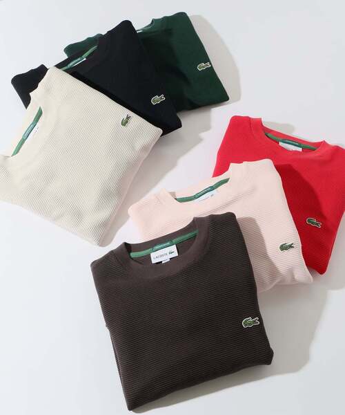 LACOSTE(ラコステ)の「LACOSTE / ラコステ 別注 ヘビーピケ L/S Tシャツ(Tシャツ/カットソー・メンズ・グレー/ブラック/ブラウン/レッド/ピンク/グリーン・3/4/5)」の10枚目の写真