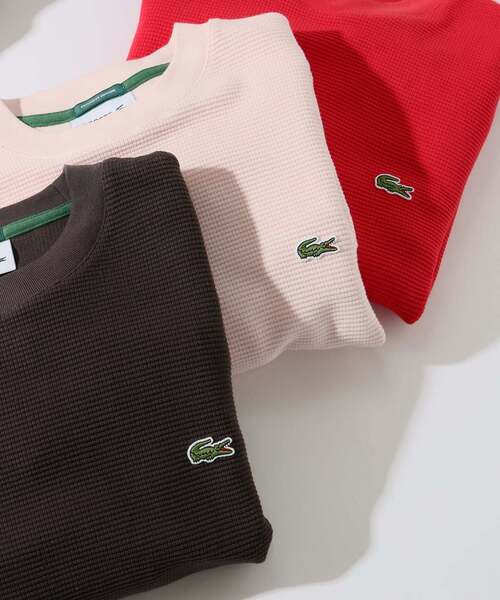 LACOSTE(ラコステ)の「LACOSTE / ラコステ 別注 ヘビーピケ L/S Tシャツ(Tシャツ/カットソー・メンズ・グレー/ブラック/ブラウン/レッド/ピンク/グリーン・3/4/5)」の11枚目の写真