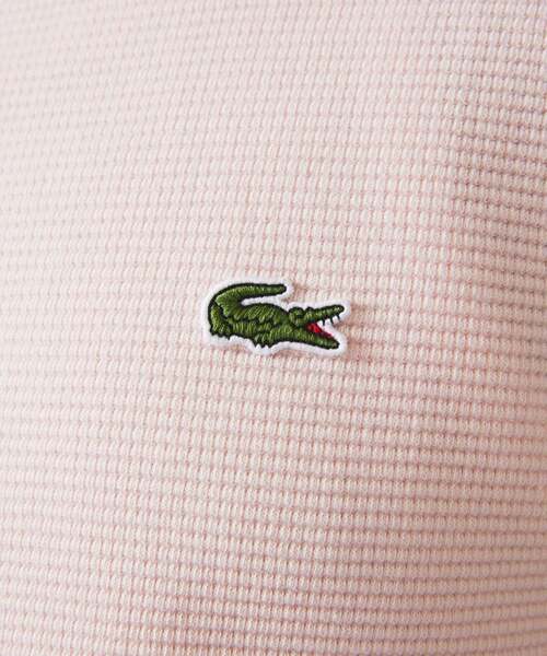 LACOSTE×JOURNAL STANDARD/別注ヘビーピケTシャツL セール】《追加》【LACOSTE for JOURNAL STANDARD/ラコステ