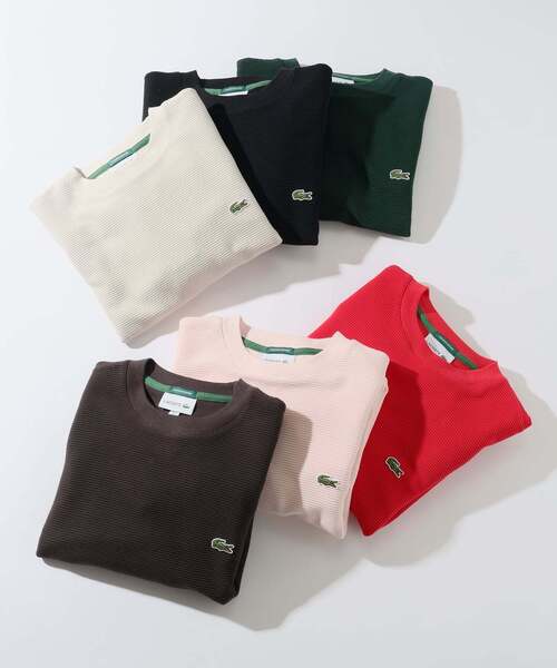 LACOSTE / ラコステ 別注 ヘビーピケ L/S Tシャツ（Tシャツ