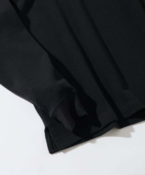 LACOSTE / ラコステ 別注 ヘビーピケ L/S Tシャツ（Tシャツ/カットソー