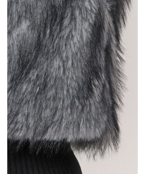 GYDA(ジェイダ)の「エコファーW ZIPベスト(ベスト・レディース・チャコールグレー/アイボリー・FREE)」の14枚目の写真