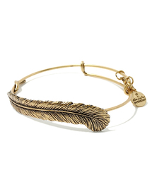 ODORANTES nano･universe | Alex and Ani/フェザーバングル(バングル/リストバンド)