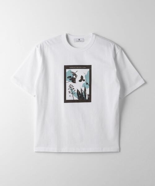 green label relaxing(グリーンレーベルリラクシング)の「<Phospho Graphica>グラフィック ショートスリーブ Tシャツ(Tシャツ/カットソー・メンズ・その他4/その他1/その他2/その他3・M/XL/S/L)」の15枚目の写真