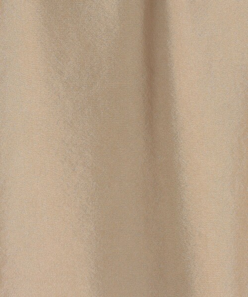 GALERIE VIE（ギャルリー ヴィー）の「フェブリルシルク サイドタックマキシスカート（スカート・レディース・ライトベージュ/チャコールグレー・36/32）」の11枚目の写真