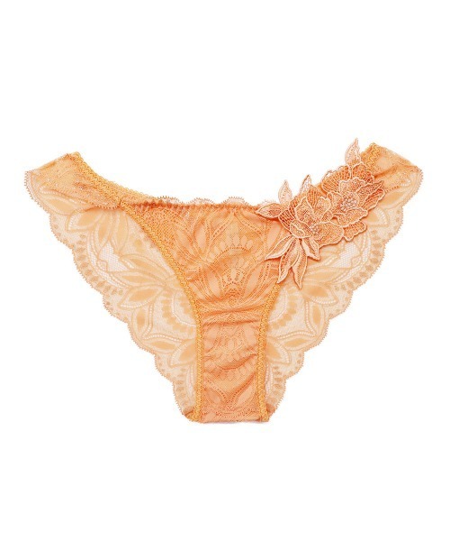 Luxe モチーフレースショーツ（ショーツ）｜ANNEBRA（アンブラ）の