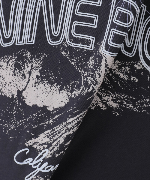 Anine Bing（アニー ビング）の「【ANINE BING/アニン ビン】WALKER TEE CALIFORNIA（Tシャツ/カットソー・レディース・スミクロ・FREE）」の13枚目の写真