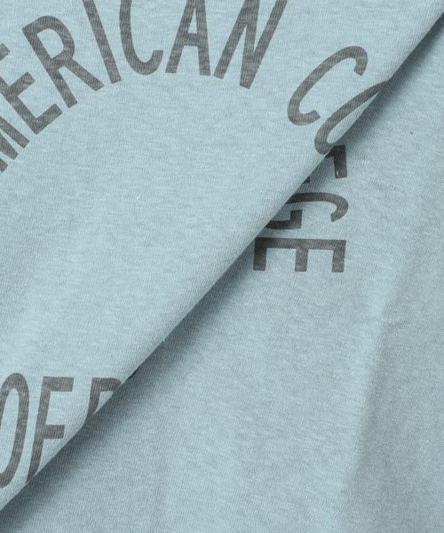 JOURNAL STANDARD（ジャーナルスタンダード）の「【RIDING HIGH/ライディングハイ】ラフィテンジクTEE（Tシャツ/カットソー・レディース・ブルー/ピンク/ブラウン/チャコールグレー/ホワイト・FREE）」の7枚目の写真