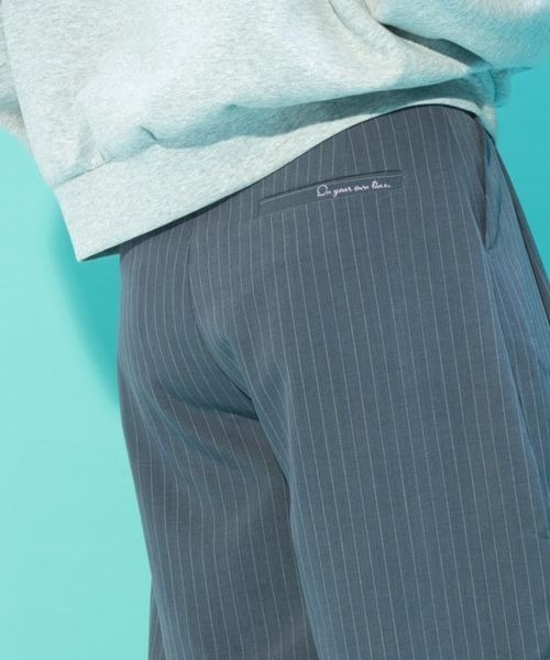 JEANASIS(ジーナシス)の「【ひろみ企画】ストライプパンツ/664280(スラックス・レディース・グレー/ブラウン/ベージュ・MEDIUM/LARGE)」の12枚目の写真