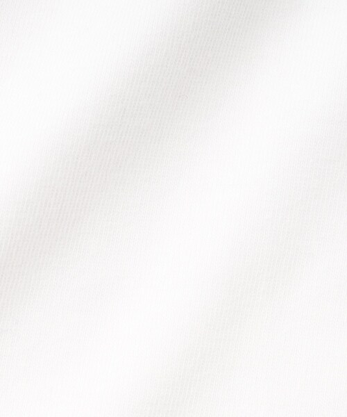 DRESSTERIOR（ドレステリア）の「◆【EC＆大阪ルクア店限定】ボーラーハットクロックドッグTシャツ（Tシャツ/カットソー・メンズ・ホワイト・92/91/90/94）」の16枚目の写真