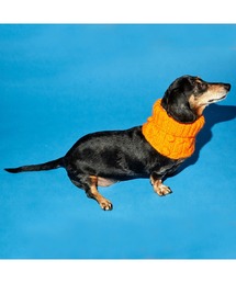WEAR OF THE DOG（ウェアオブザドッグ）の「CABLE BOBBLE SNOOD（ペットウェア）」