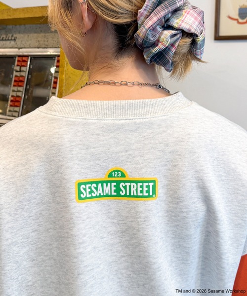 SESAME STREET（セサミストリート）の「【SESAME STREET】袖配色プルオーバー（スウェット・レディース・C/B/A・FREE）」の16枚目の写真