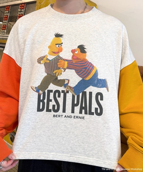 SESAME STREET（セサミストリート）の「【SESAME STREET】袖配色プルオーバー（スウェット・レディース・C/B/A・FREE）」の20枚目の写真