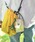 SALLIESiT[Yj́uSALLIES Pocket Pal MINIMAL WALLET T[Y |Pbgp ~j} EHbg RpNg J[h O܂z K  NAiRCP[XjvbzCg