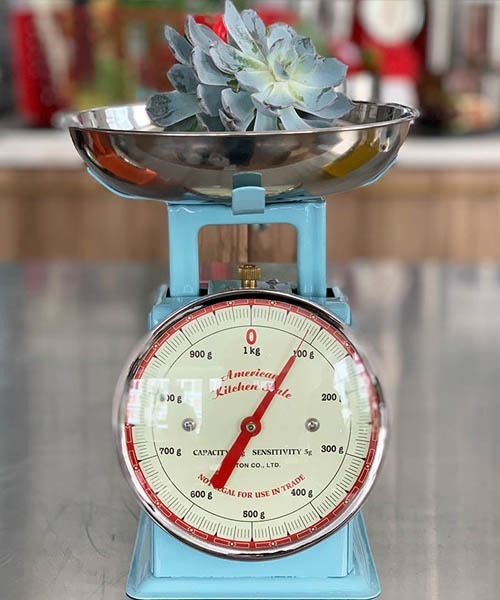 AMERICAN KITCHEN SCALE/アメリカン キッチンスケール（キッチンツール）｜DULTON（ダルトン）