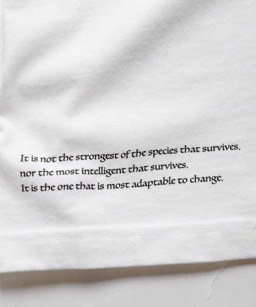 RATTLE TRAP（ラトルトラップ）の「グラフィックバックプリントロンT（Tシャツ/カットソー・メンズ・ホワイト/ブラック・S/M/L）」の7枚目の写真