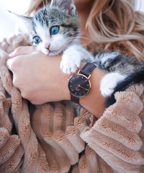 Daniel Wellington（ダニエルウェリントン）の「PETITE YORK STRAP 腕時計ベルト（アナログ腕時計・レディース・ピンクゴールド・14）」の2枚目の写真