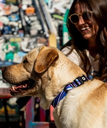 WOLFGANG MAN＆BEAST（ウルフギャングマンアンドビースト）の「WOLFGANG/ウルフギャング 犬用 首輪 MarbleWave Collar Mサイズ WC-002-102（リード/ハーネス/首輪・レディース）」