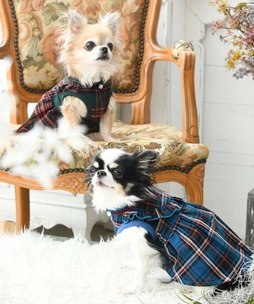 One Octave(ワンオクターヴ)の「One Octave/チェックフリルワンピ(ペットウェア・レディース・ブルー/グリーン・L/2M/M/2XS/S/XS/2L)」の13枚目の写真