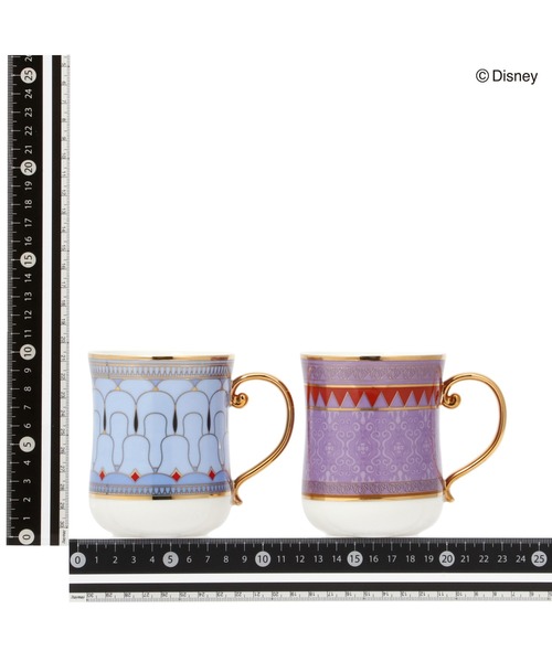 セール】ディズニー MAGIC of CHEMISTRY / アラジン / ペアマグ（食器