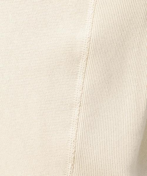 Champion（チャンピオン）の「BY Champion ハイネックスウェットプルオーバー（スウェット・レディース・グレー/ナチュラル/ネイビー・MEDIUM）」の14枚目の写真