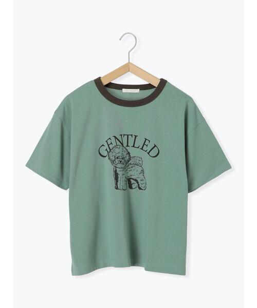 ehka sopo（エヘカソポ）の「わんこプリントリンガーTシャツ（Tシャツ/カットソー・レディース・グリーン/サックスブルー/オフホワイト/チャコールグレー・F）」の12枚目の写真