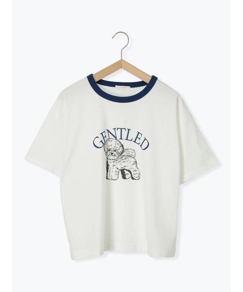 ehka sopo（エヘカソポ）の「わんこプリントリンガーTシャツ（Tシャツ/カットソー・レディース・グリーン/サックスブルー/オフホワイト/チャコールグレー・F）」の14枚目の写真