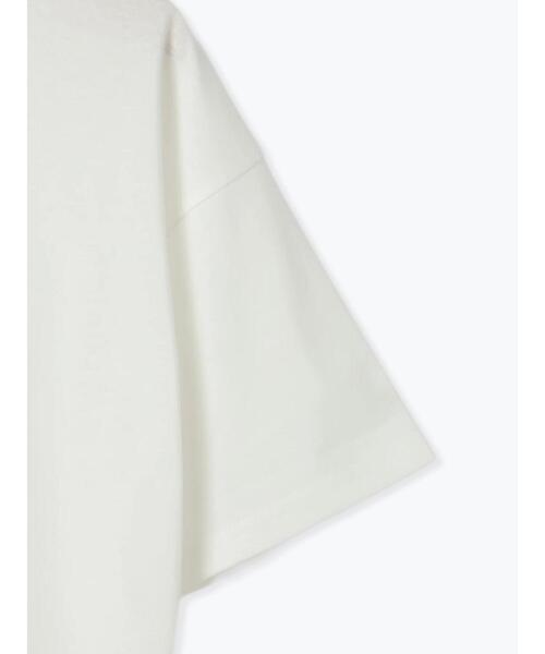 ehka sopo（エヘカソポ）の「わんこプリントリンガーTシャツ（Tシャツ/カットソー・レディース・グリーン/サックスブルー/オフホワイト/チャコールグレー・F）」の17枚目の写真