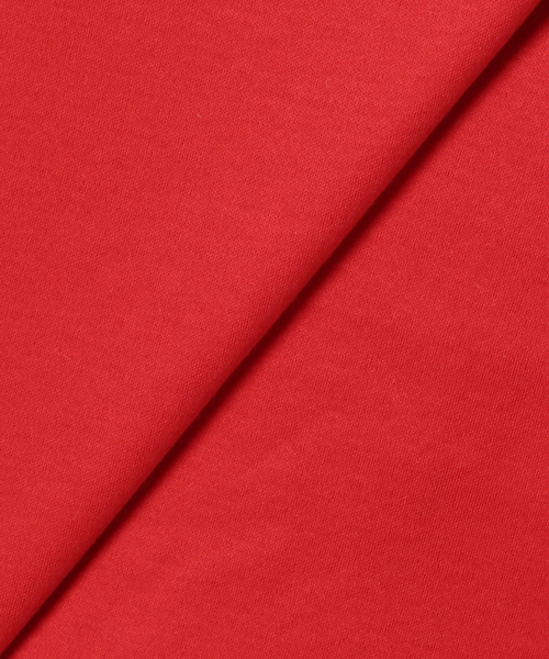 JOURNAL STANDARD（ジャーナルスタンダード）の「《追加4》汗ジミ防止ナノシアハーフスリーブT（Tシャツ/カットソー・レディース・レッド/ホワイト/ライトグレー/ブラック・FREE）」の21枚目の写真