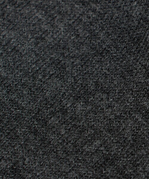 UNITED ARROWS（ユナイテッドアローズ）の「コットン 2トーン タイツ（タイツ/ストッキング・レディース・ブラック/レッド/ダークグレー・FREE）」の9枚目の写真