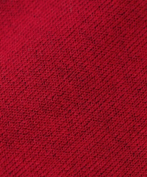 UNITED ARROWS（ユナイテッドアローズ）の「コットン 2トーン タイツ（タイツ/ストッキング・レディース・ブラック/レッド/ダークグレー・FREE）」の13枚目の写真