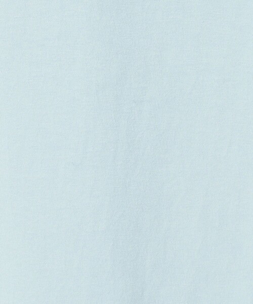 HANES（ヘインズ）の「【別注】 ＜Hanes＞ ビーフィー Tシャツ（Tシャツ/カットソー・メンズ・ダークグレー/ホワイト/ライトグレー/ライトブルー/ブラック・S/XL/M/L）」の10枚目の写真