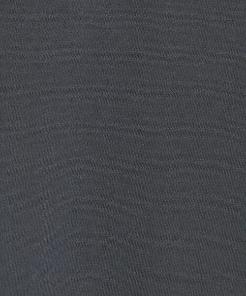 HANES（ヘインズ）の「【別注】 ＜Hanes＞ ビーフィー Tシャツ（Tシャツ/カットソー・メンズ・ダークグレー/ホワイト/ライトグレー/ライトブルー/ブラック・S/XL/M/L）」の16枚目の写真