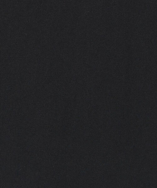 HANES(ヘインズ)の「【別注】 <Hanes> ビーフィー Tシャツ(Tシャツ/カットソー・メンズ・ダークグレー/ホワイト/ライトグレー/ライトブルー/ブラック・S/XL/M/L)」の10枚目の写真