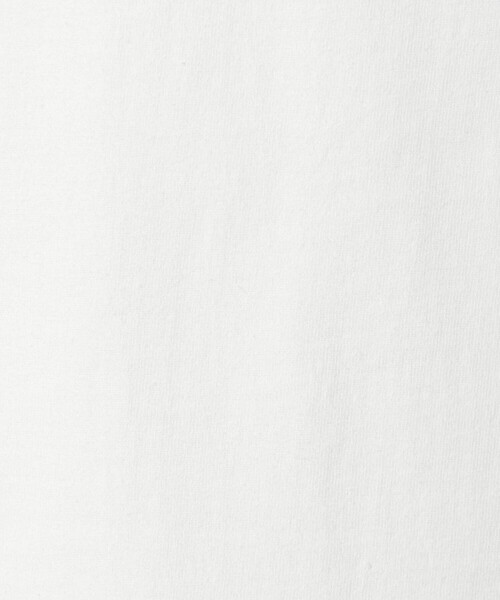 HANES(ヘインズ)の「【別注】 <Hanes> ビーフィー Tシャツ(Tシャツ/カットソー・メンズ・ダークグレー/ホワイト/ライトグレー/ライトブルー/ブラック・S/XL/M/L)」の7枚目の写真