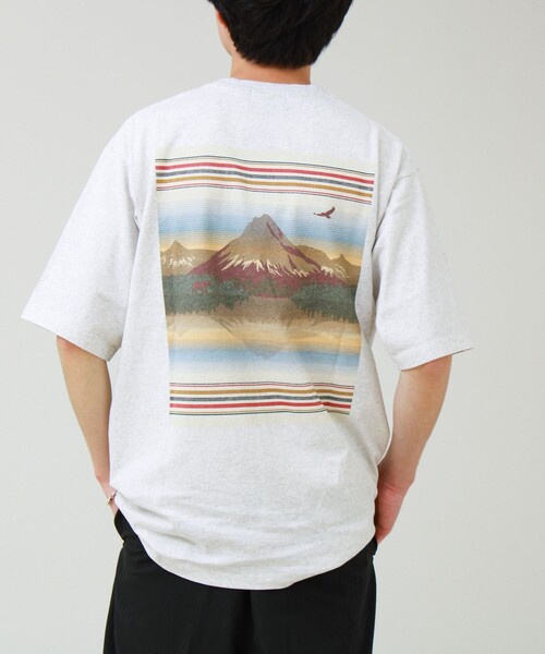 PENDLETON(ペンドルトン)の「【PENDLETON/ペンドルトン】Back Print Tee(Tシャツ/カットソー・メンズ・アイボリー/サックスブルー/ブラック/イエロー・M/L/XL)」の14枚目の写真