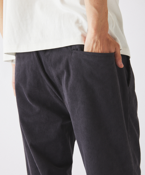 JOURNAL STANDARD relume(ジャーナルスタンダード レリューム)の「テック ”SOLOTEX(R)” コーデュロイ オーバルイージースラックス(その他パンツ・メンズ・ブラック/チャコールグレー/ベージュ系その他/ダークブルー/ブラウン・X-LARGE/LARGE/SMALL/MEDIUM)」の22枚目の写真