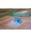 tone�i�g�[���j�́u�yWillija�z�F�T����߂�Ɣg�͗l�̑ї���(MA)�i���̑������j�v�b�u���[