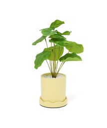 Francfranc（フランフラン）の「ポット付きアートグリーン アップルリーフ S 人工観葉植物 装飾（インテリア雑貨）」