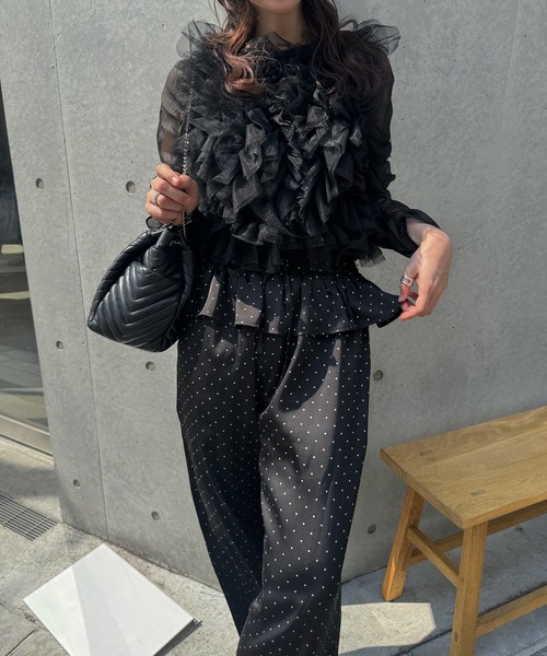 WILLFULLY(ウィルフリー)の「random gather tulle vest sheer blouse SET(シャツ/ブラウス・レディース・ブラック/アイボリー/ブルー系その他/ピンク系その他・FREE)」の19枚目の写真