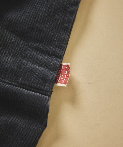 HINSON（ヒンソン）の「HINSON/ヒンソン 別注 6Pkt Pants/6ポケット コーデュロイ カーゴパンツ（カーゴパンツ・メンズ・ブラウン/チャコールグレー/オリーブ・LARGE/MEDIUM/SMALL）」の20枚目の写真