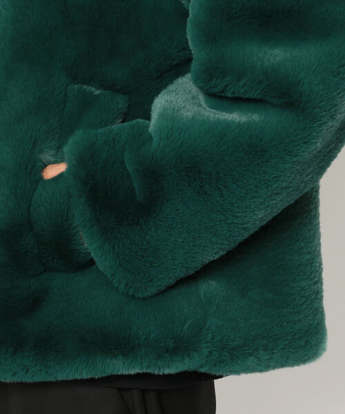 FR(13)NDS（フレンズ）の「FR(13)NDS /フレンズ /エコファーブルゾン（ブルゾン・メンズ・ブラック/グリーン・MEDIUM/LARGE）」の9枚目の写真