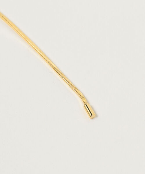 Ray BEAMS（レイビームス）の「Ray BEAMS / 角 スネーク スライド ネックレス（ネックレス・レディース・シルバー/ゴールド・ONE SIZE）」の13枚目の写真