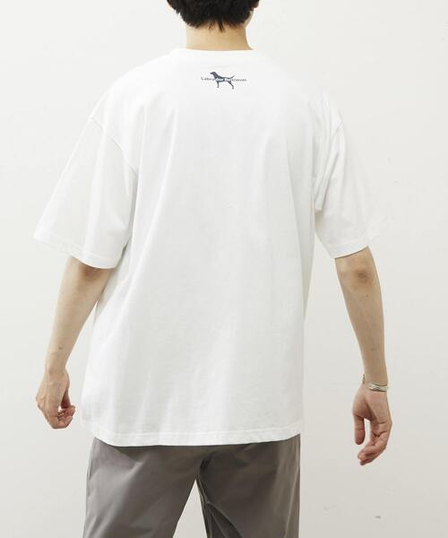 MASTER FRAME（マスターフレーム ）の「【MASTER FRAME/マスターフレーム】ラブラドールレトリバーTシャツ（Tシャツ/カットソー・メンズ・ホワイト系その他/ホワイト系その他2/ホワイト系その他3/ブルー系その他/ブルー系その他2/ブルー系その他3・2/3/4/1）」の9枚目の写真